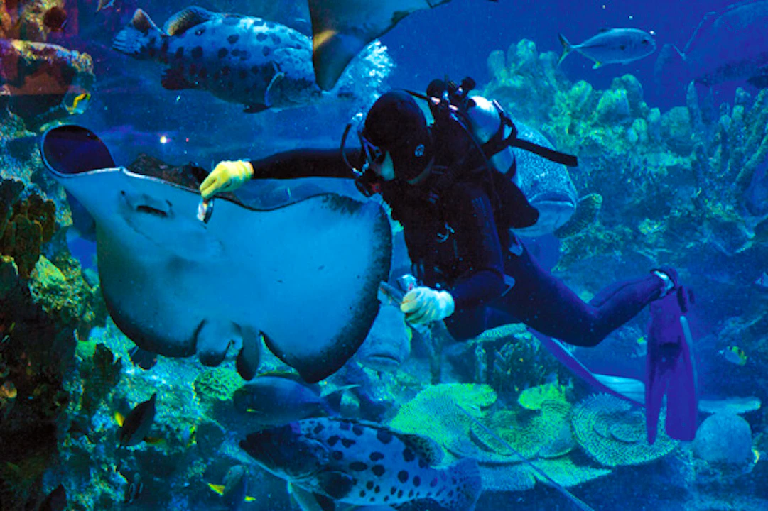 aquaria klcc